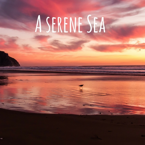A Serene Sea Cover Art Blurred Background