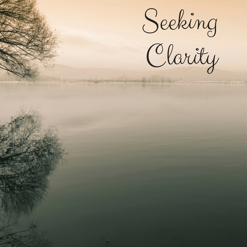 Seeking Clarity Cover Art Blurred Background