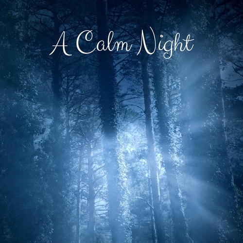 A Calm Night Cover Art Blurred Background