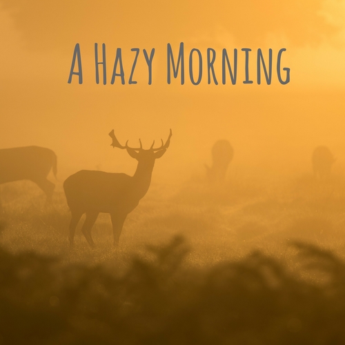 A Hazy Morning Cover Art Blurred Background