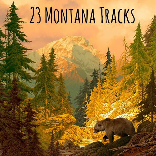 23 Montana Tracks Cover Art Blurred Background