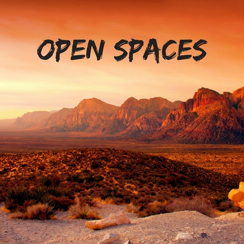 Open Spaces Cover Art Blurred Background