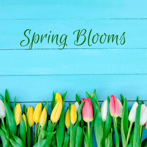 Spring Blooms Cover Art Blurred Background