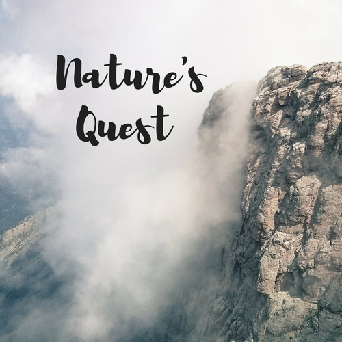 Nature's Quest Cover Art Blurred Background