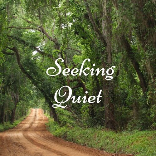 Seeking Quiet Cover Art Blurred Background