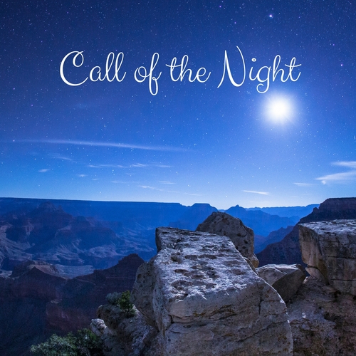 Call of the Night Cover Art Blurred Background
