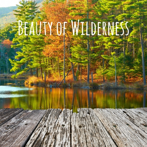 Beauty of Wilderness Cover Art Blurred Background