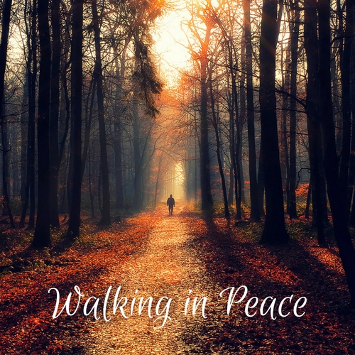 Walking in Peace Cover Art Blurred Background