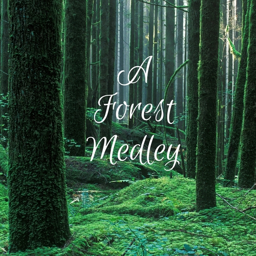 A Forest Medley Cover Art Blurred Background