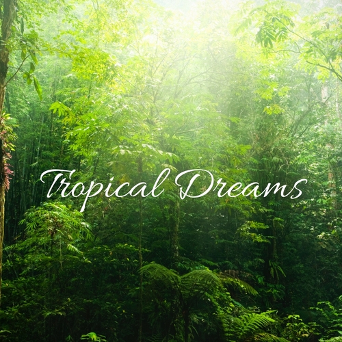 Tropical Dreams Cover Art Blurred Background