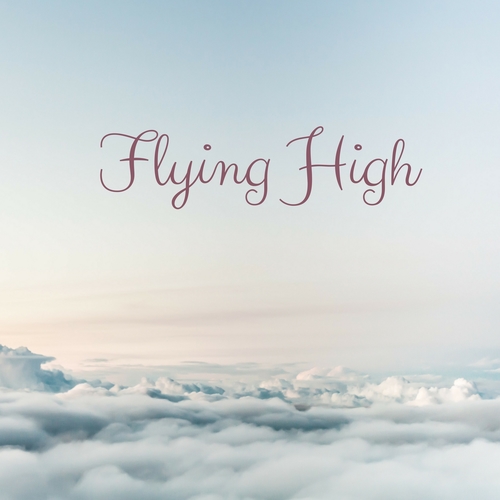 Flying High Cover Art Blurred Background