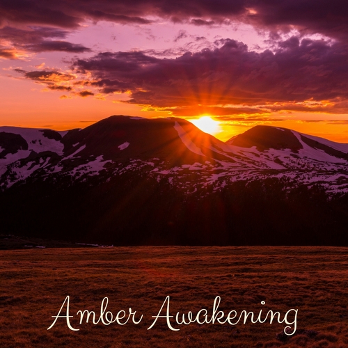 Amber Awakening Cover Art Blurred Background