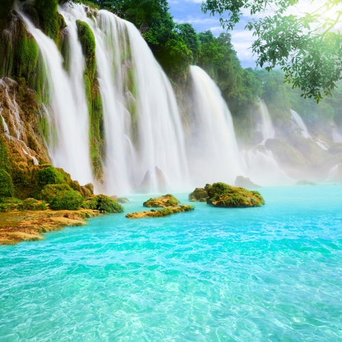 A Natural Scene Cover Art Blurred Background
