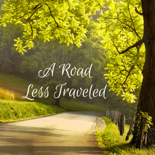 A Road Less Traveled Cover Art Blurred Background