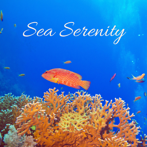 Sea Serenity Cover Art Blurred Background