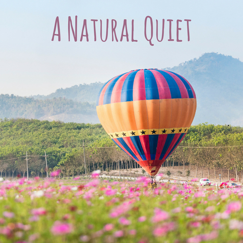 A Natural Quiet Cover Art Blurred Background