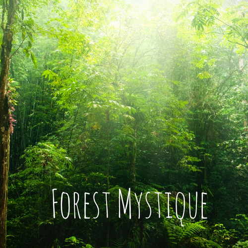 Forest Mystique Cover Art Blurred Background