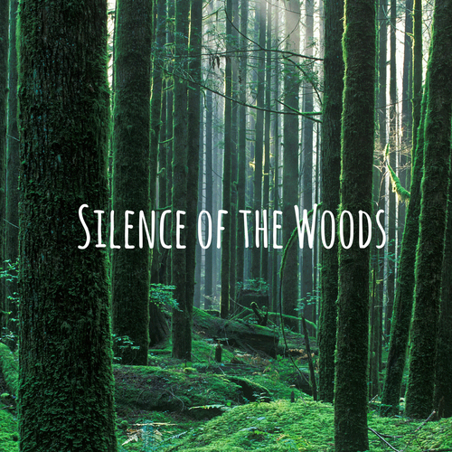 Silence of the Woods Cover Art Blurred Background