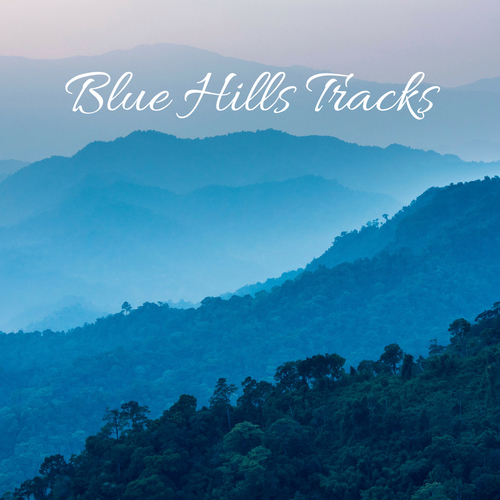 Blue Hills Tracks Cover Art Blurred Background