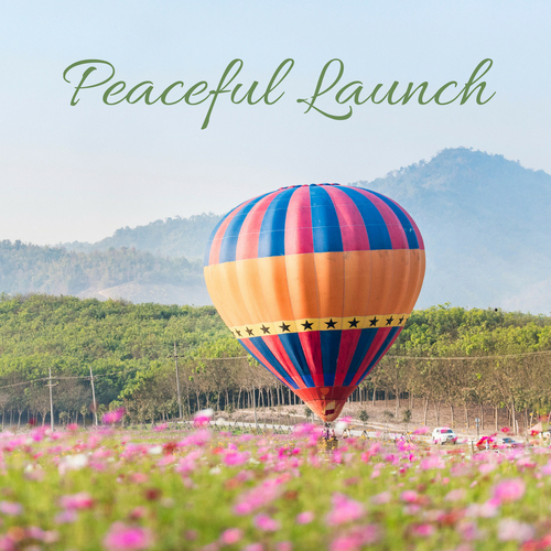 Peaceful Launch Cover Art Blurred Background