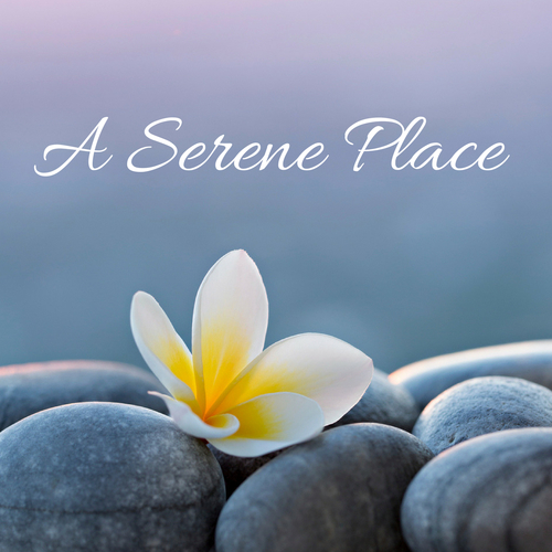 A Serene Place Cover Art Blurred Background
