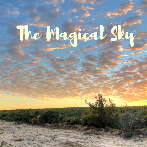The Magical Sky Cover Art Blurred Background