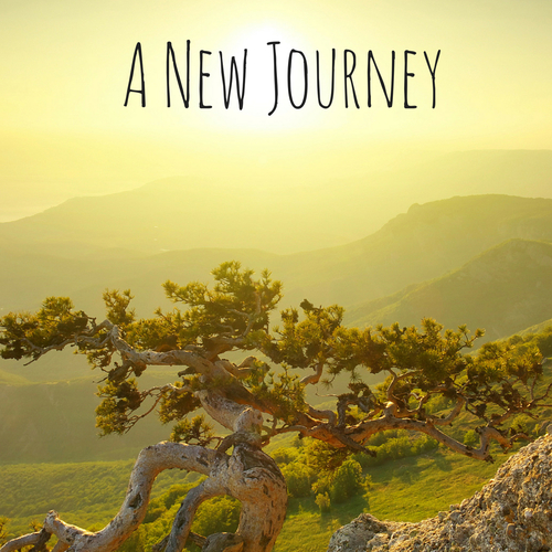 A New Journey Cover Art Blurred Background