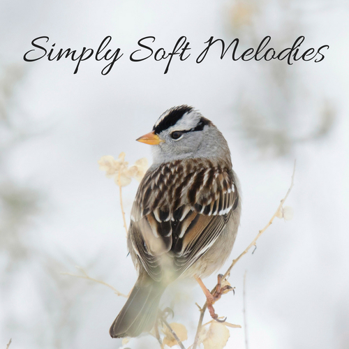 Simply Soft Melodies Cover Art Blurred Background