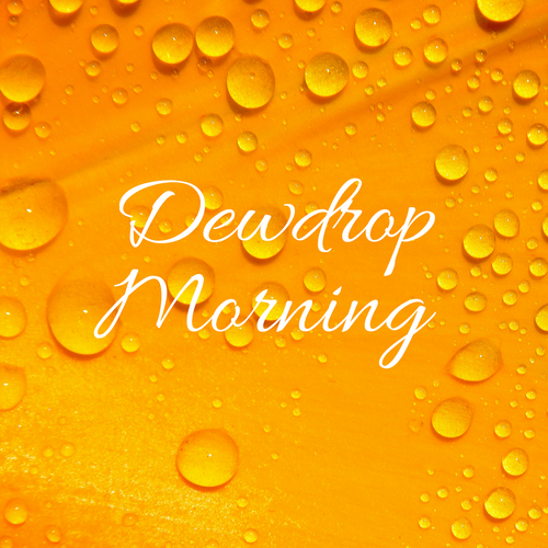 Dewdrop Morning Cover Art Blurred Background