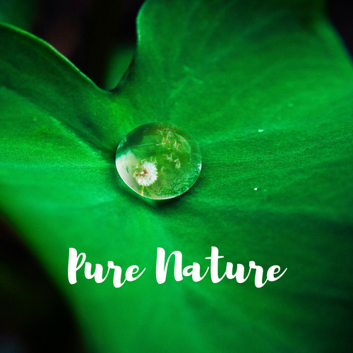 Pure Nature Cover Art Blurred Background
