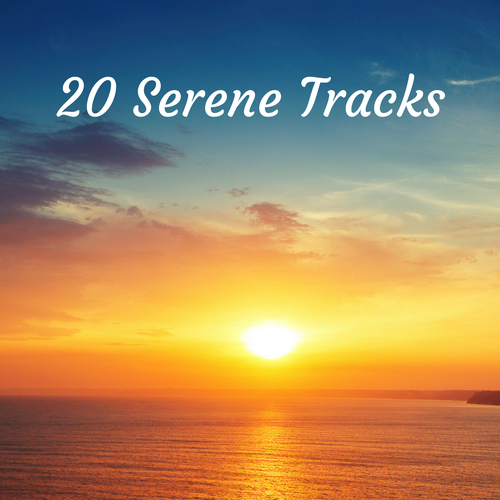 20 Serene Tracks Cover Art Blurred Background