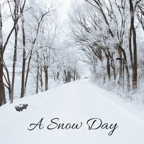 A Snow Day Cover Art Blurred Background