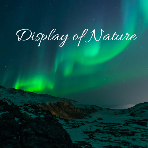 Display of Nature Cover Art Blurred Background
