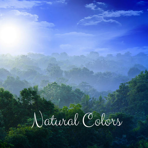 Natural Colors Cover Art Blurred Background