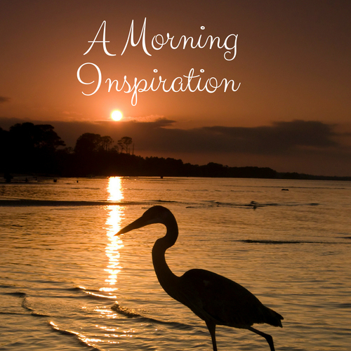 A Morning Inspiration Cover Art Blurred Background
