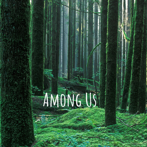Among Us Cover Art Blurred Background