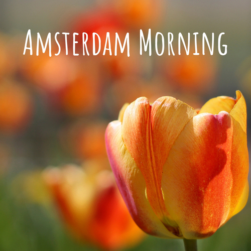 Amsterdam Morning Cover Art Blurred Background