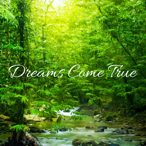 Dreams Come True Cover Art Blurred Background