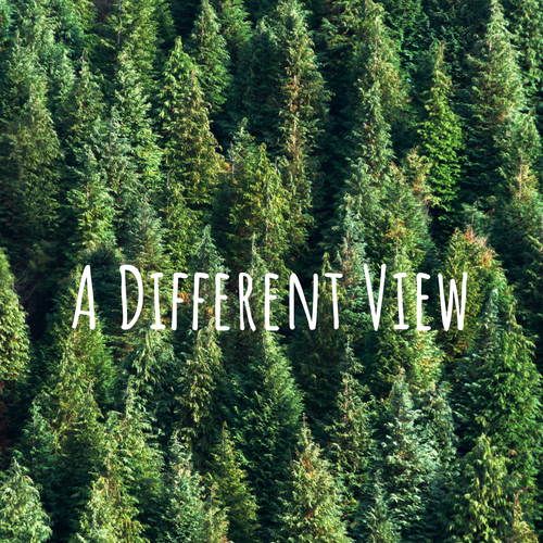 A Different View Cover Art Blurred Background