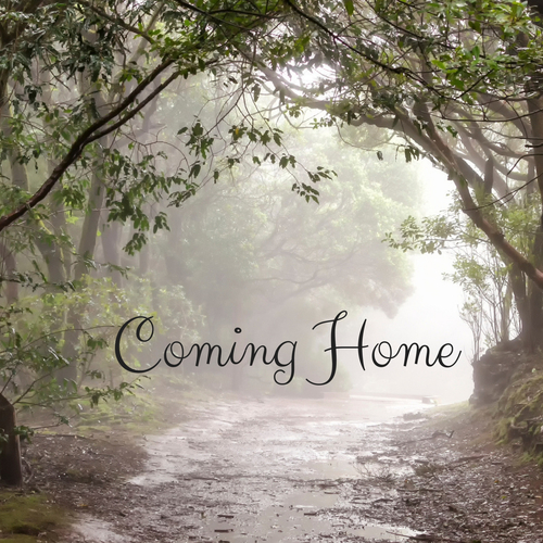 Coming Home Cover Art Blurred Background