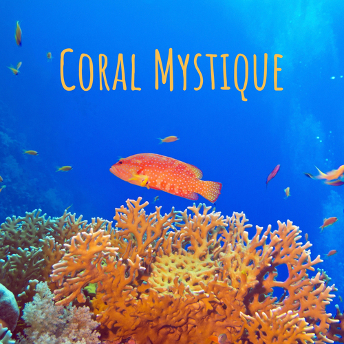 Coral Mystique Cover Art Blurred Background