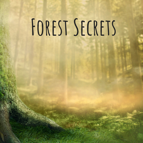 Forest Secrets Cover Art Blurred Background