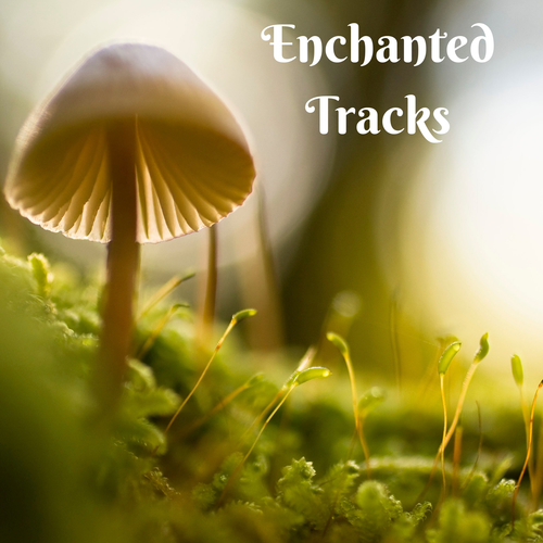 Enchanted Tracks Cover Art Blurred Background