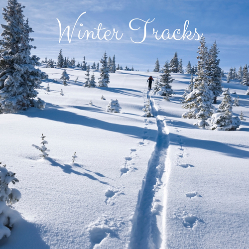 Winter Tracks Cover Art Blurred Background