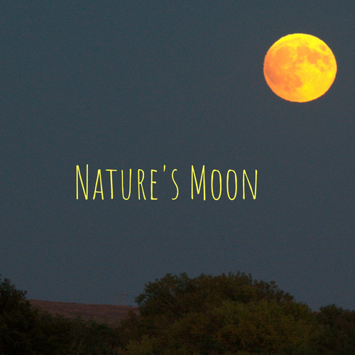 Nature's Moon Cover Art Blurred Background
