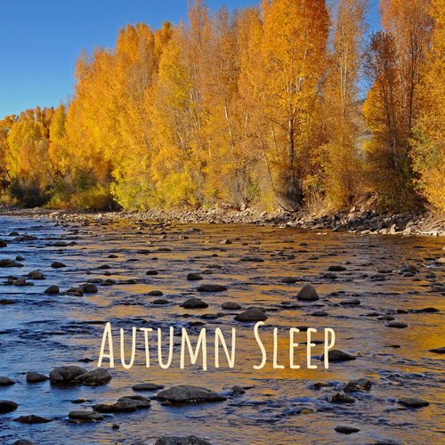 Autumn Sleep Cover Art Blurred Background