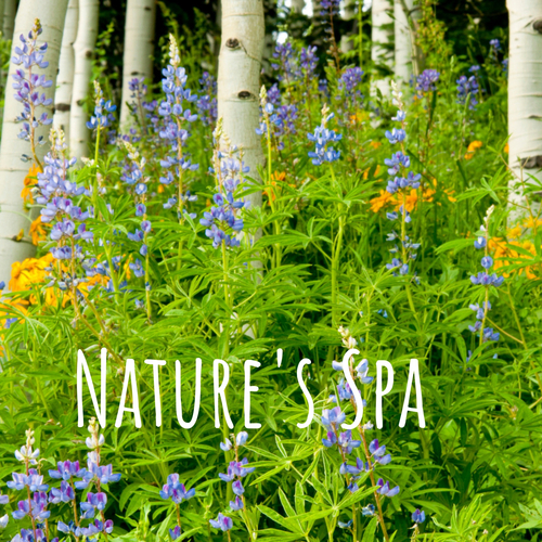 Nature's Spa Cover Art Blurred Background