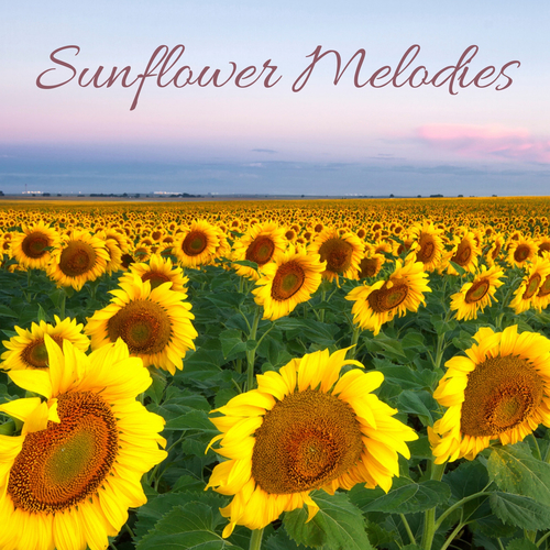 Sunflower Melodies Cover Art Blurred Background