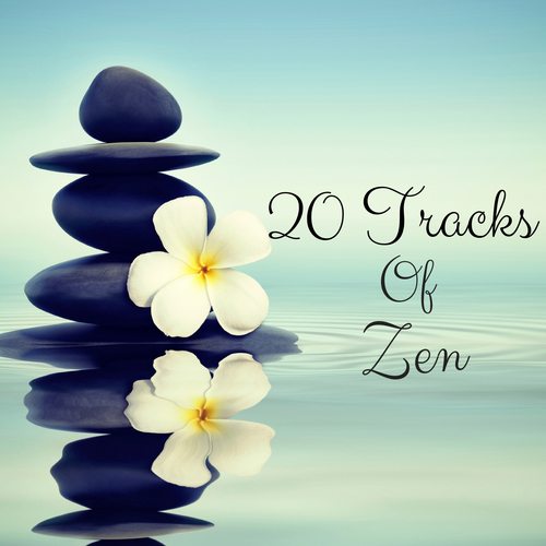 20 Tracks of Zen Cover Art Blurred Background