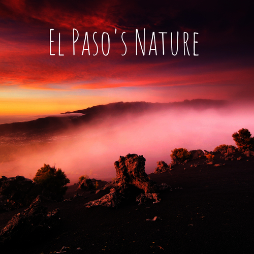 El Paso's Nature Cover Art Blurred Background